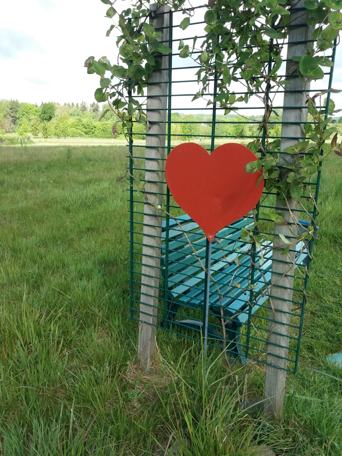 Golfclub Reinfeld e.V.